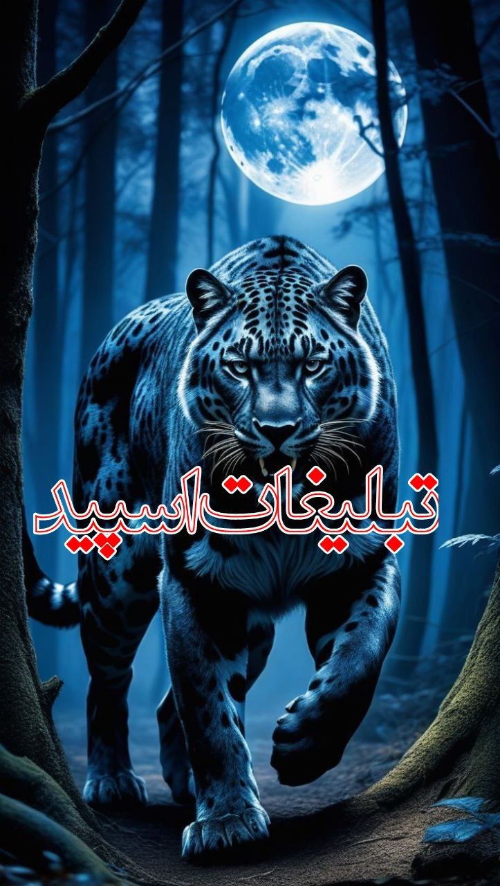 اکیپ خاص❤️