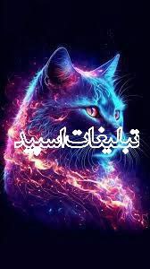 کلبه دوستی 😍