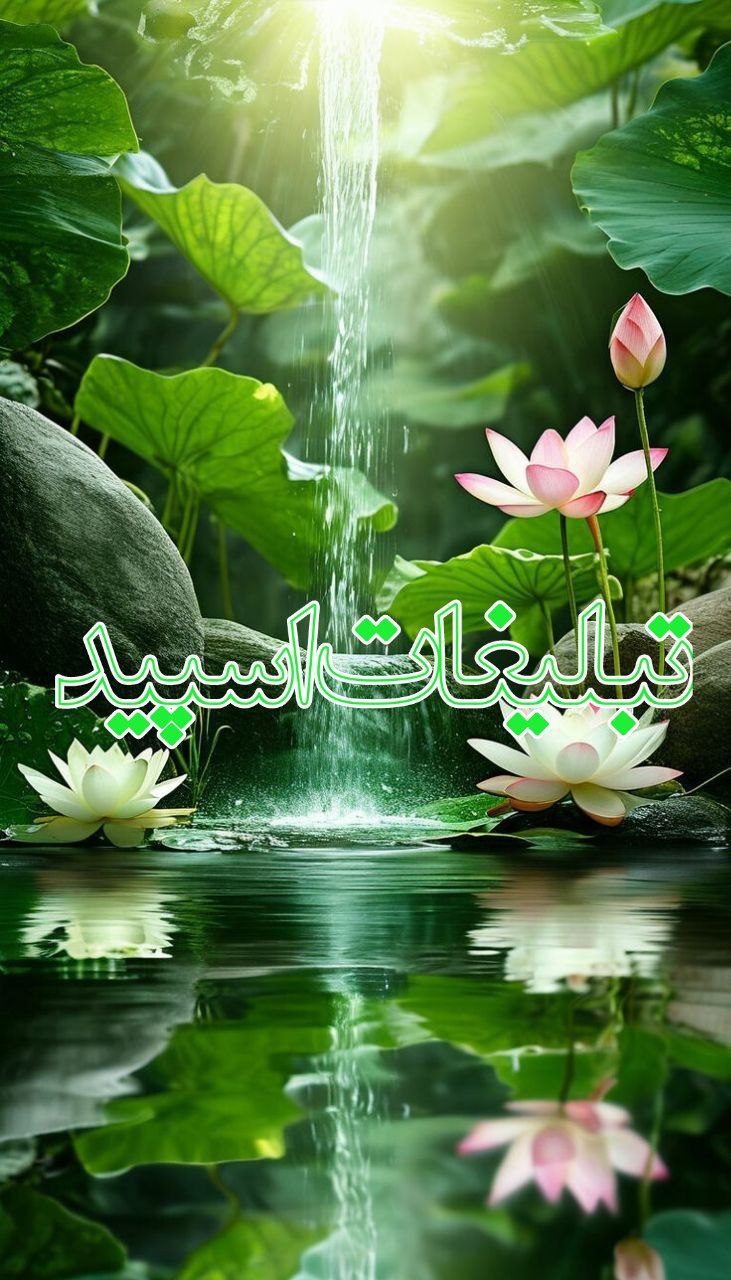 💜❤️شمیم عشق 💞👩‍❤️‍👨 (26)