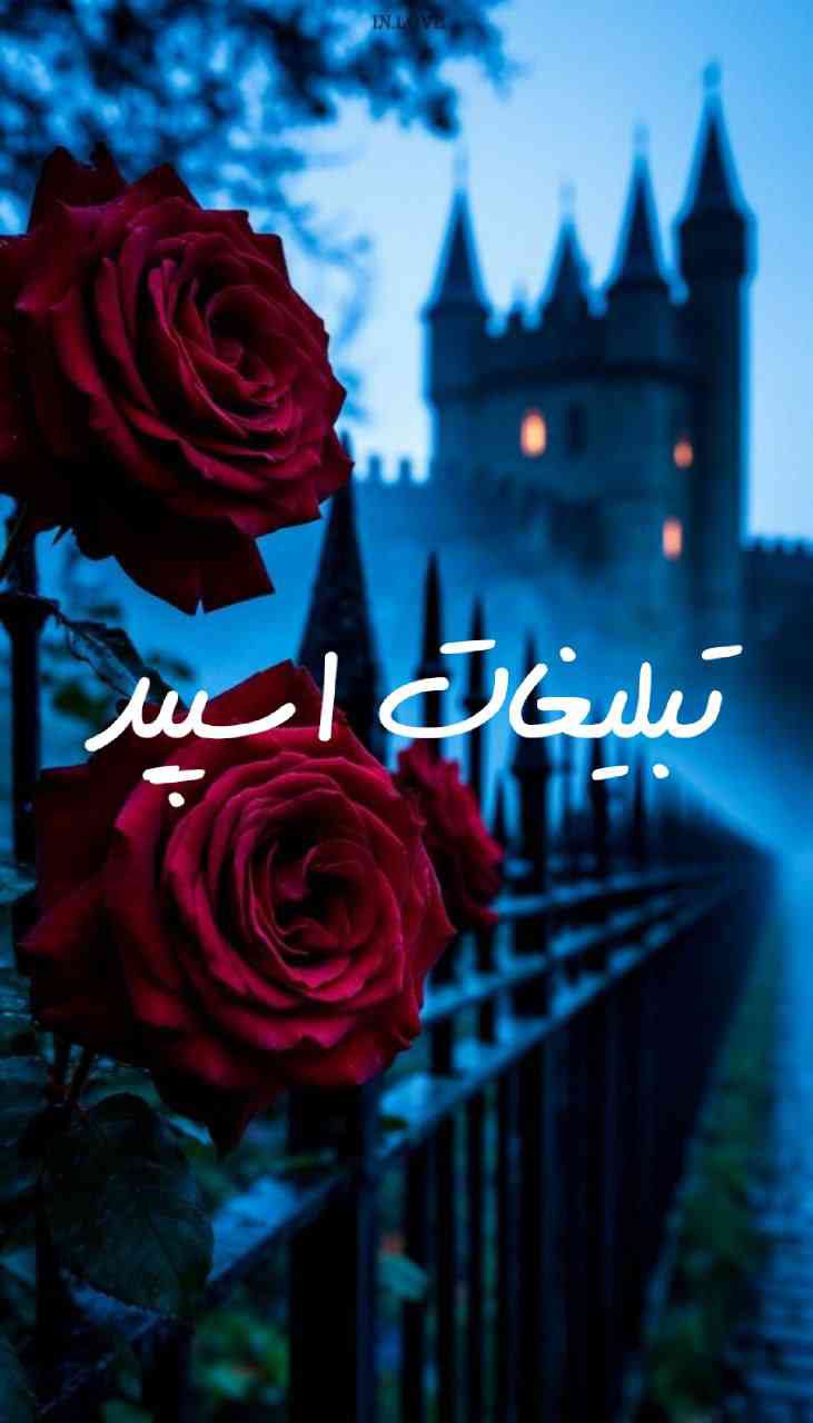 گپ تلگرام چتکده بالای 30