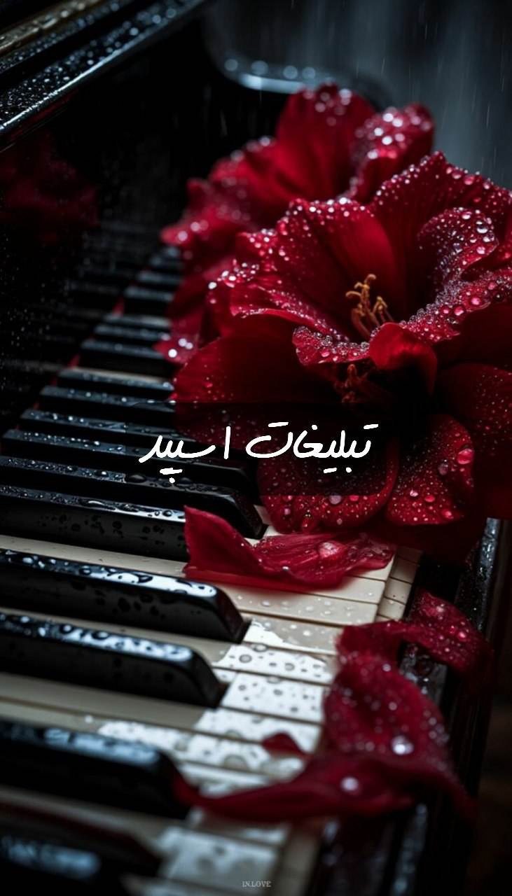 گروه تلگرام دورهمی اسفنجی 