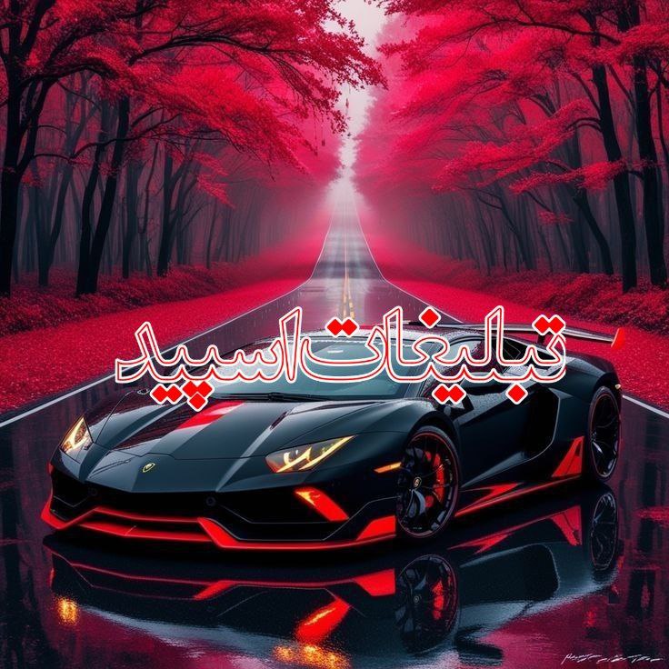 وایلد ولف (48)