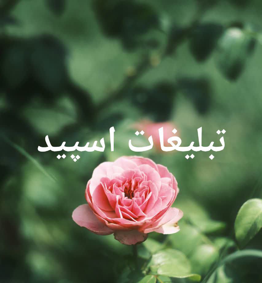 گروه تلگرام آذگارد