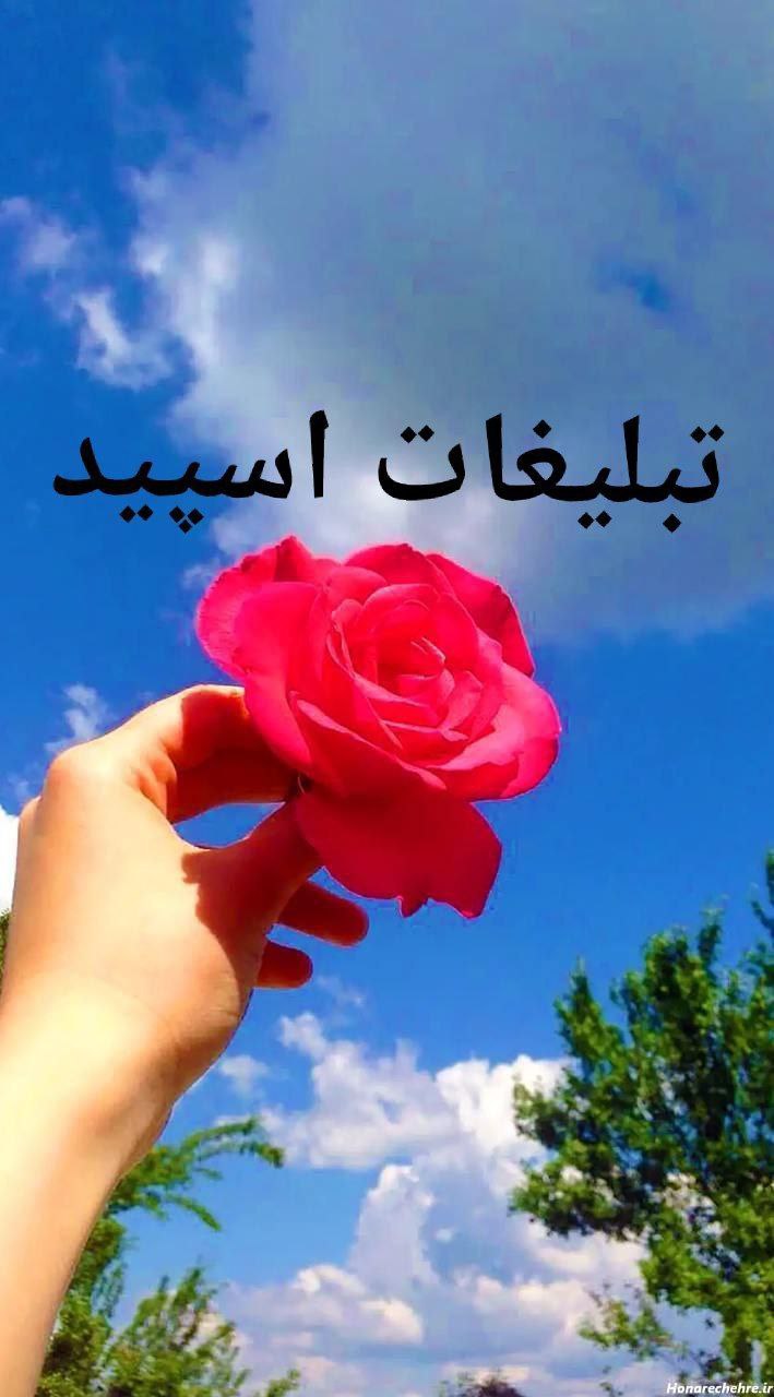 گروه چت تلگرام کافه چت