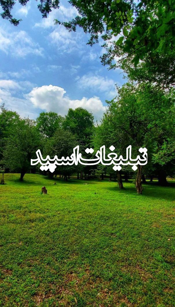 ا༺♥️دوستان بامعرفت ♥️༻ا