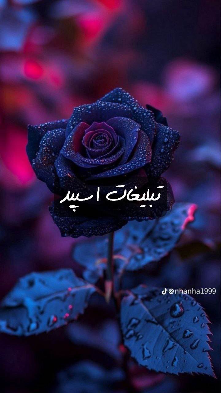 گپ تلگرام سیتی لند