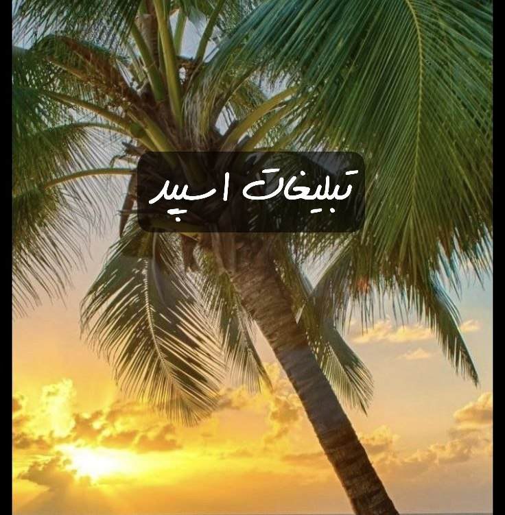 گپ تلگرام دورهمی مشهدیا