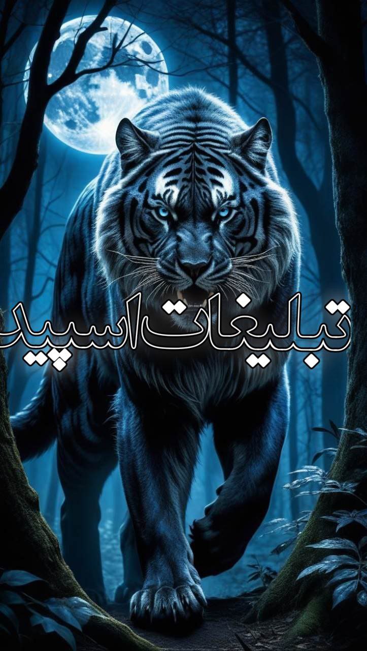 گروه دورهمی تگزاس (43)