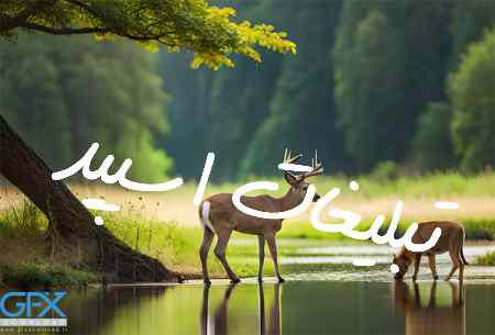 گروه چت تلگرام دورهمی دخترپسرا تهران