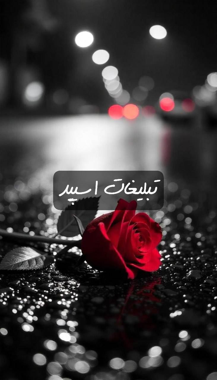 گپ تلگرام شه مازرون قربون 