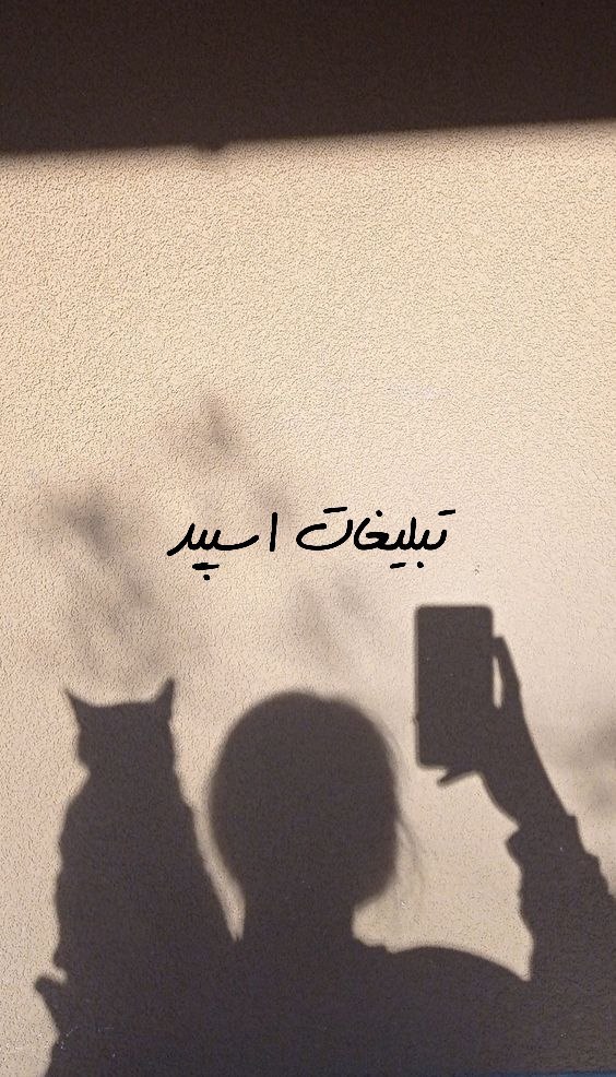 گروه تلگرام دورهمی آلاچیق رشت سیتی