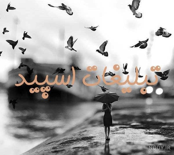 گروه چت تلگرام کلبه مهربانی
