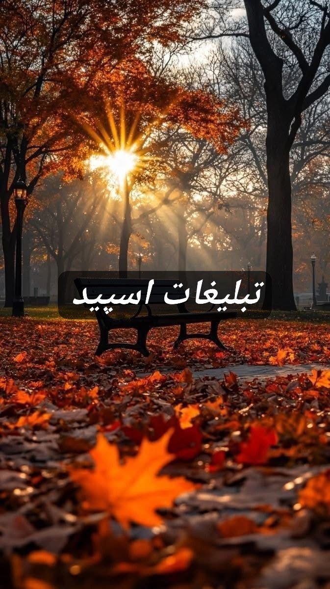 گپ تلگرام V i b e