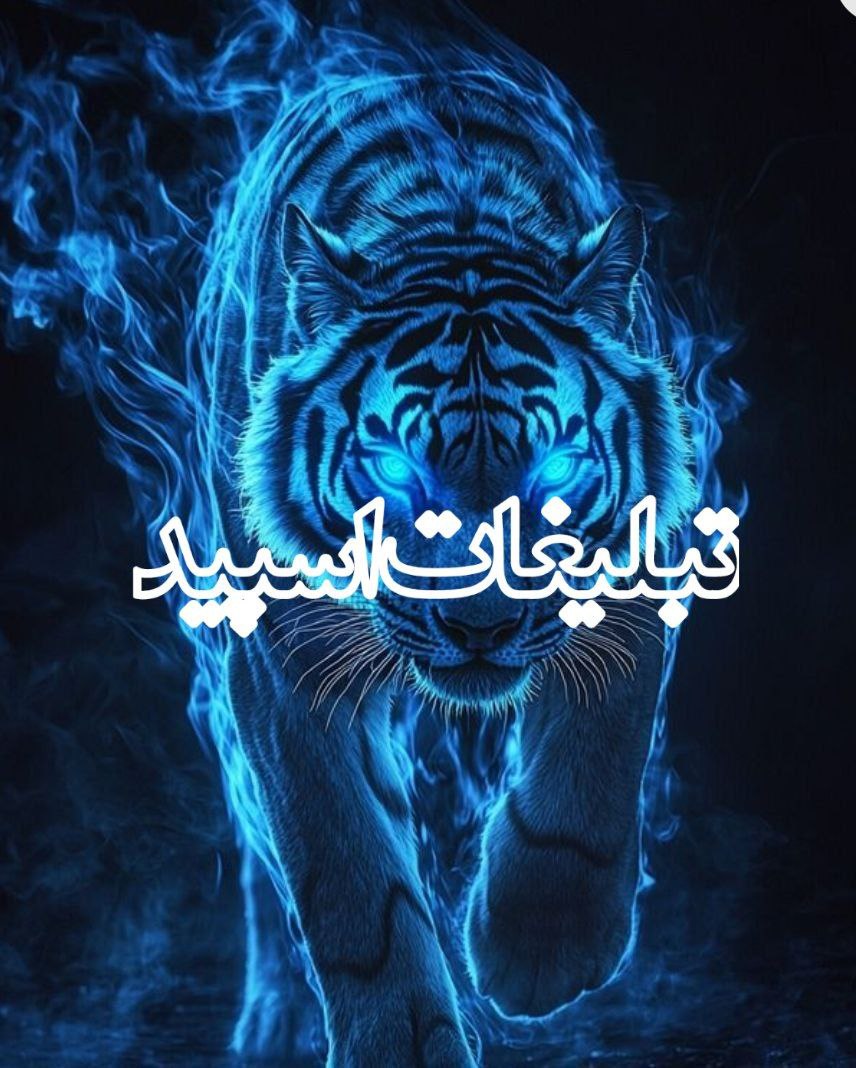 💥کانال تیم اسپید