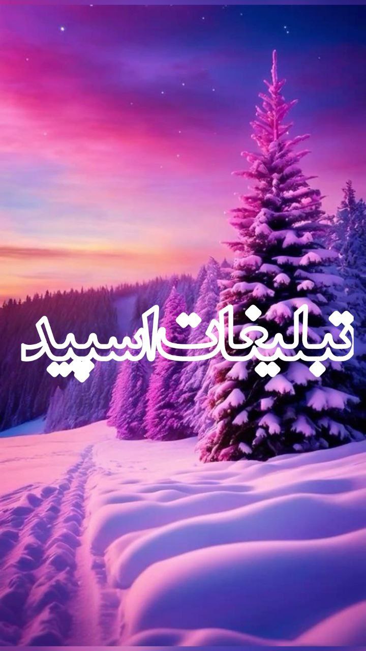 وایلد ولف (125)