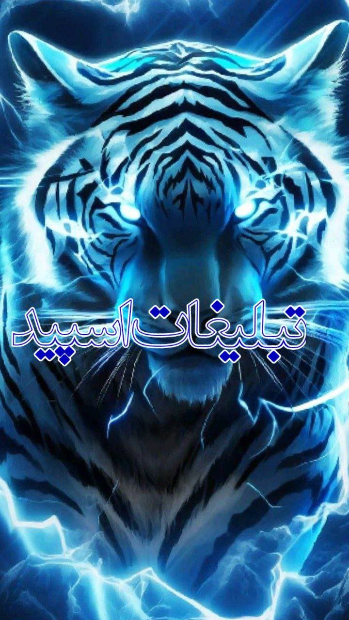 دورهمی باجنبه ها❤️