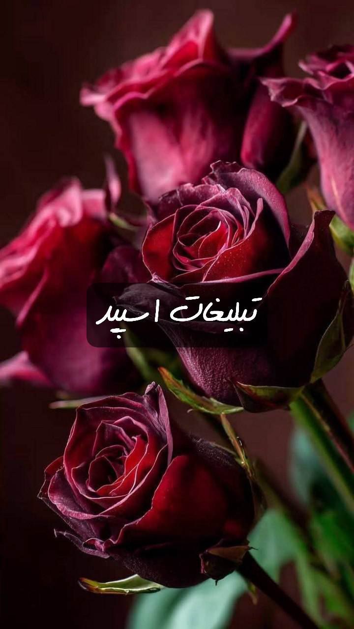 گپ تلگرام عشق ابدی