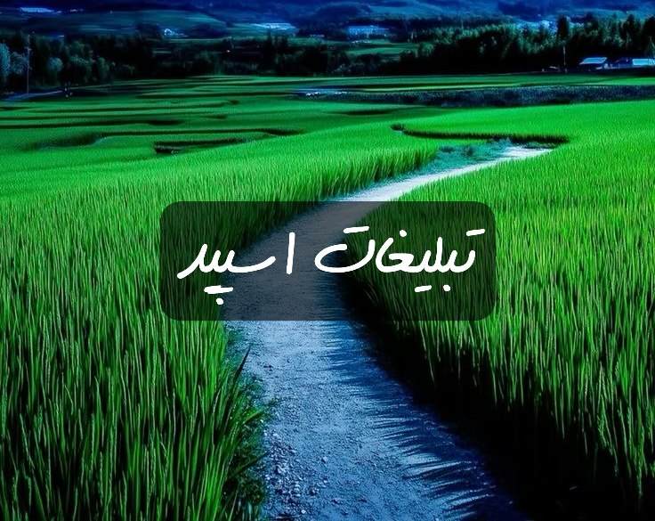 گروه تلگرام بر و بچ سمی