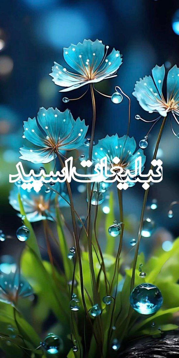 سلطان قلب‌ها (3)