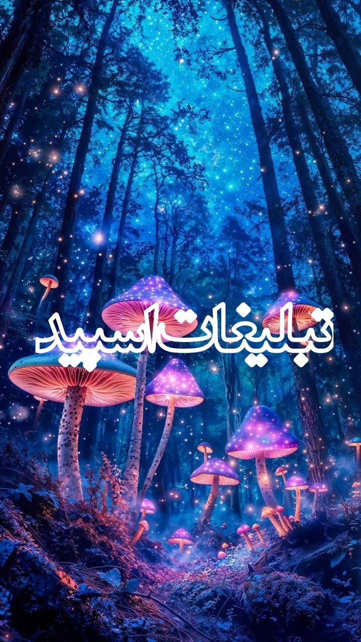 وب سایت تبلیغات اسپید