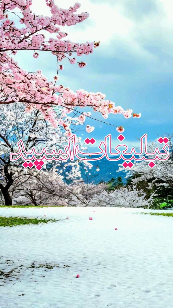 🔴💞✯امپراطوری لاکچری✯🔴 (9)