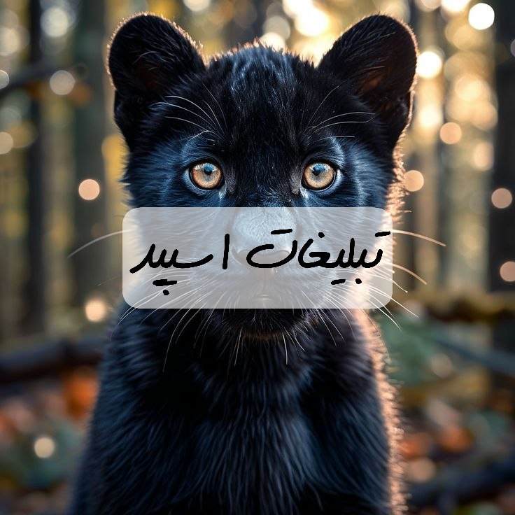 گروه تلگرام کلبه چت سمنان