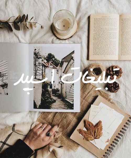 گروه چت تلگرام لاولند