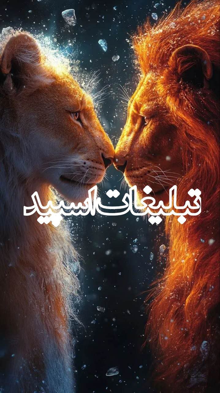 وایلد ولف (195)