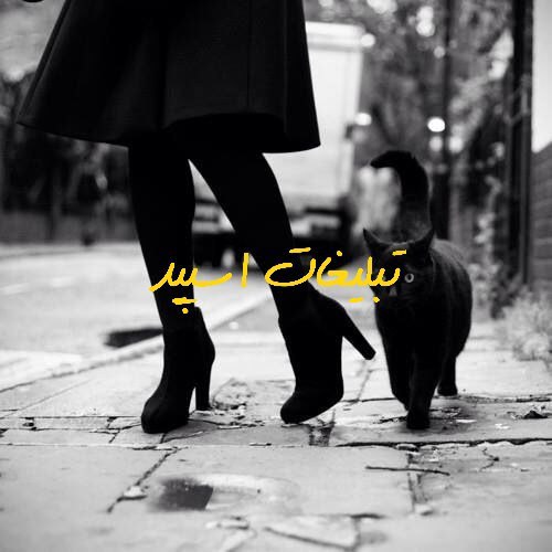 گروه تلگرام تهران سیتی