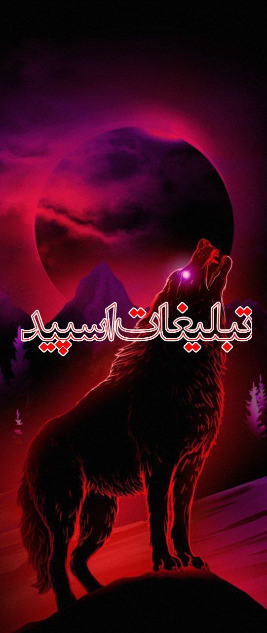 ⎯꯭᪵̽𝆺꯭𝅥𝐖𝐈𝐋𝐃𓆩᪵🜲꯭𓆪̥𝐖𝐎𝐋𝐅⎯꯭꥓᪵ͯ⟶ (86)