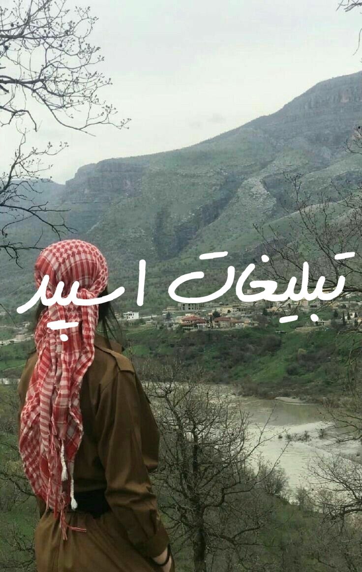 گروه چت تلگرام زندگی مثل گیتار
