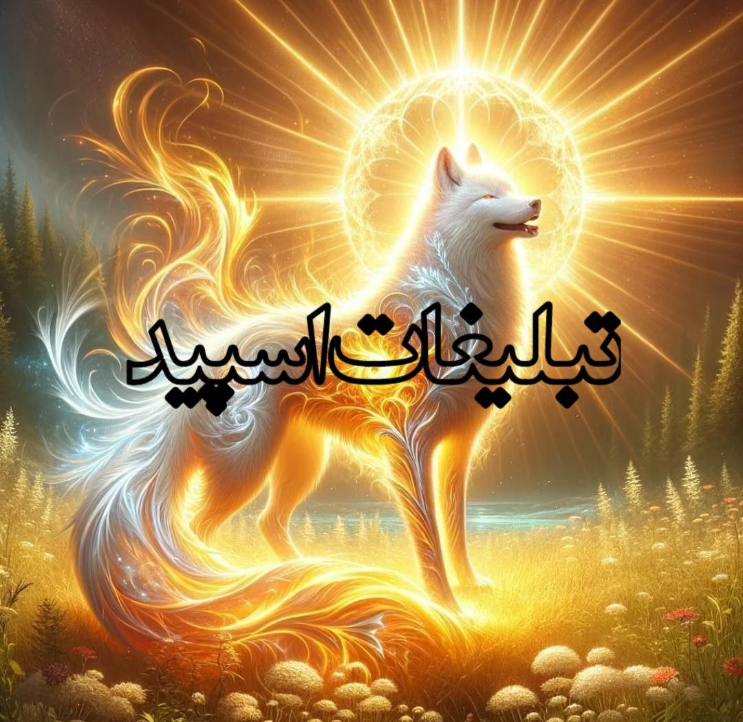 🩵 کلبه عشق 🩵