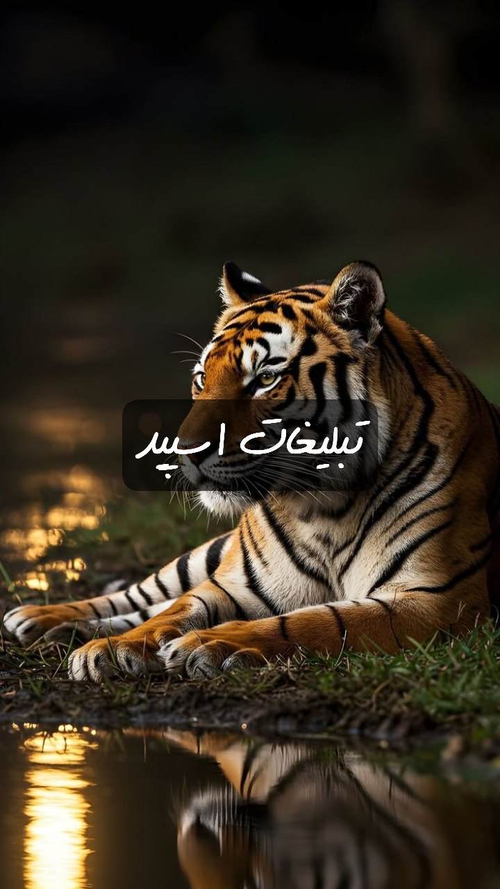 گروه تلگرام قلب یخی سیرجان