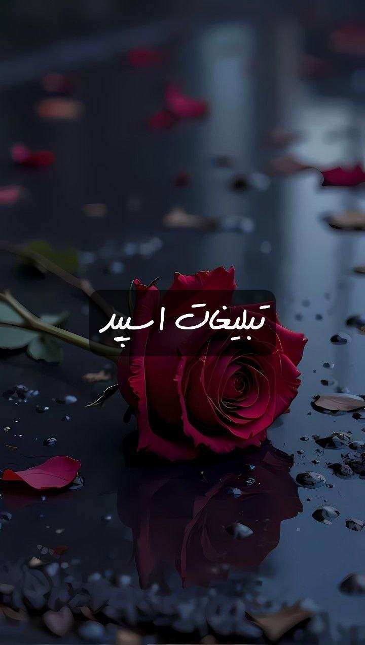 گپ تلگرام چتروم سینگل ها