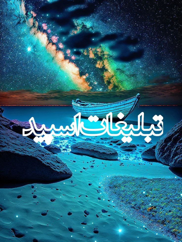 وایلد ولف (211)