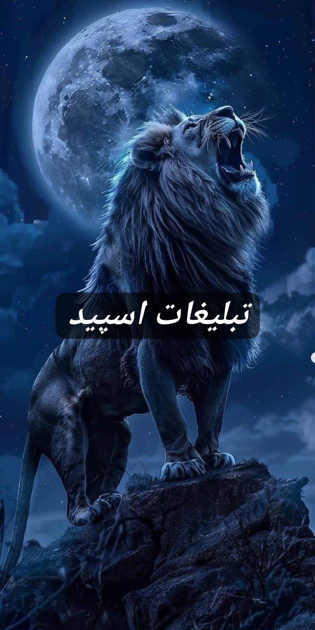 گروه تلگرام دورهمی دوستان با مرام 