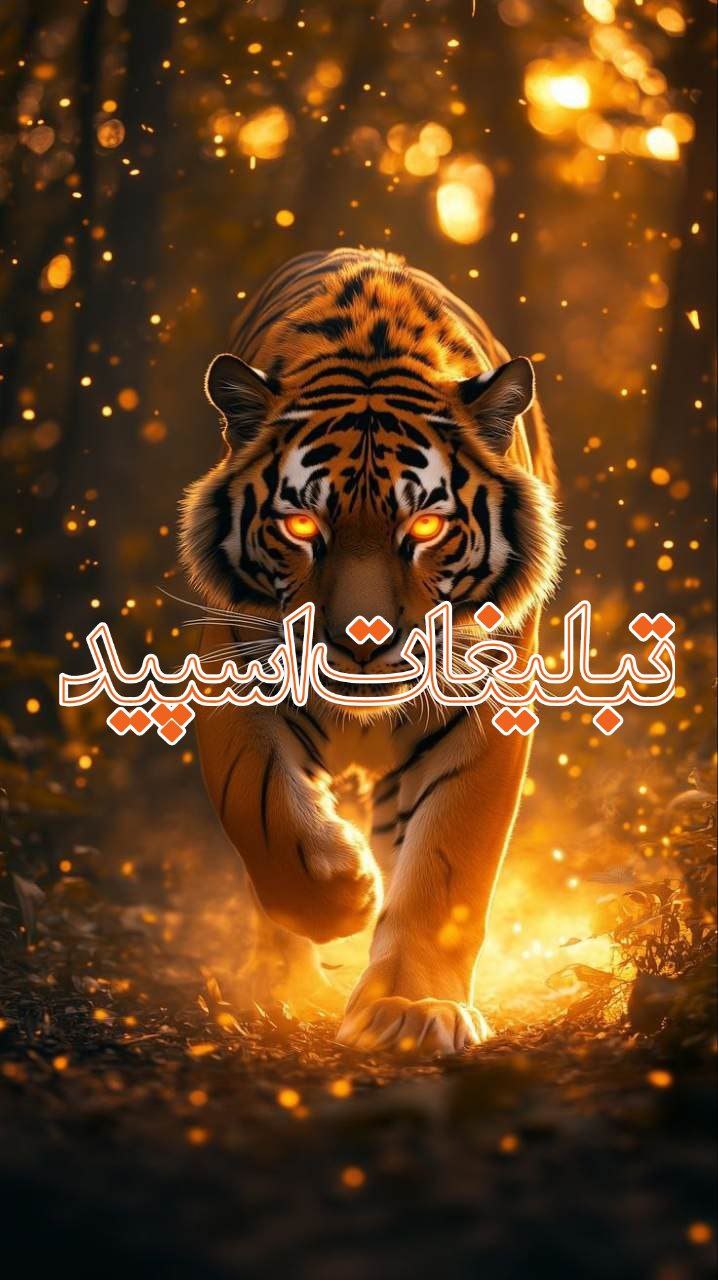 کافه دنج💞