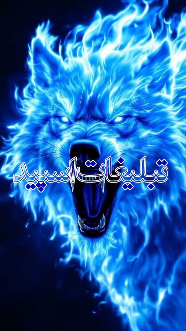 چت کرده شهر