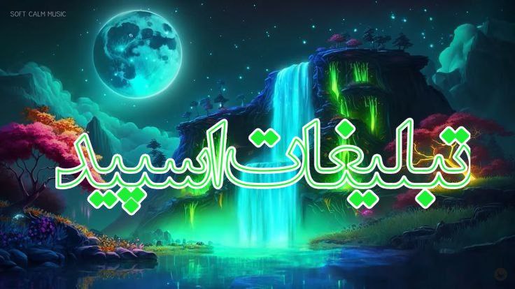 وایلد ولف (80)