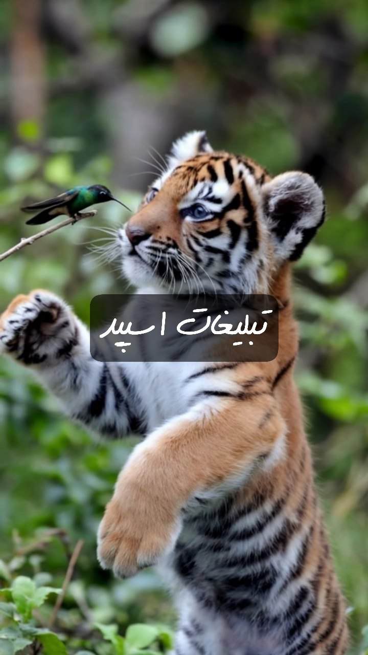 گپ تلگرام تهران و کرج