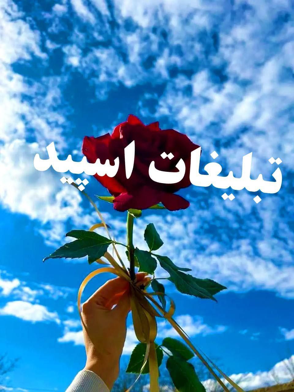 پیج اینستاگرام  پورتال خبری  اقتصادی ایرانیان