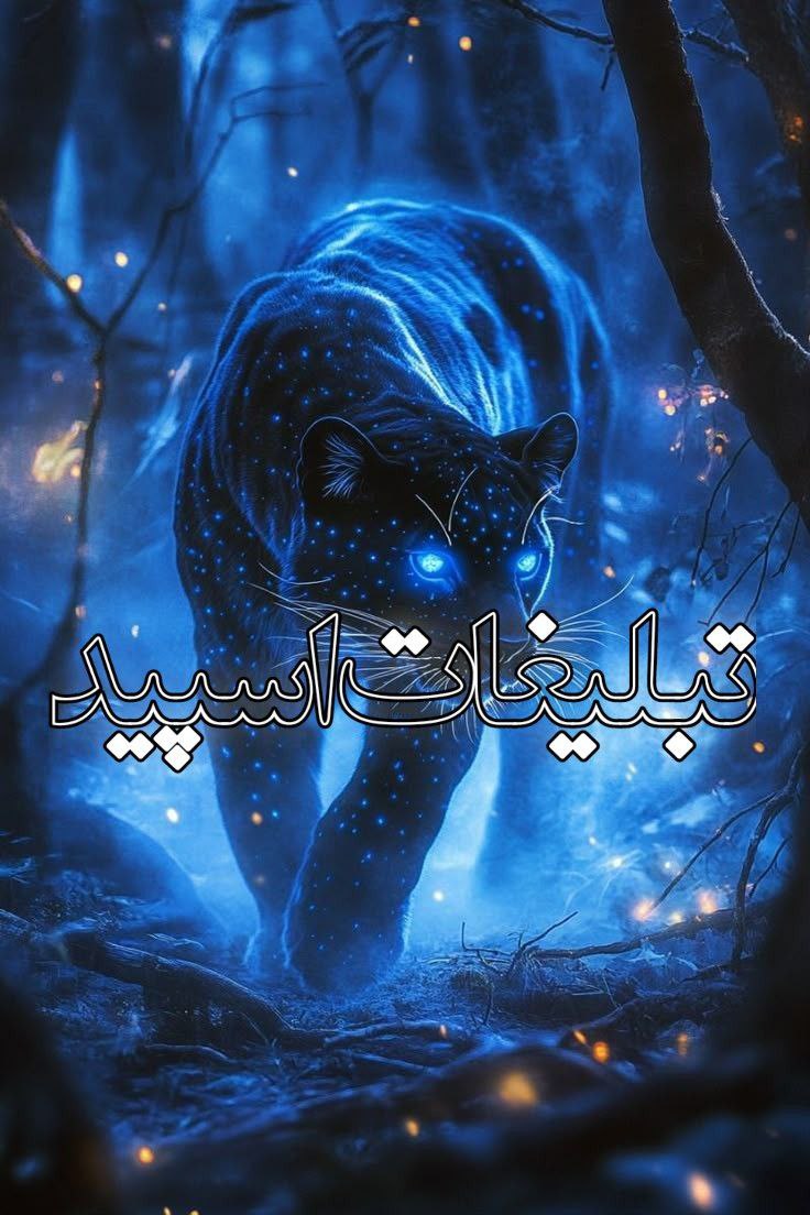 ➹‌‌🦋◗◖𝐆𝐀𝐏 𝐃𝐄𝐋𝐁𝐀𝐑𝐀 ⃙ ‌‌ ᪼᪼🦋➹