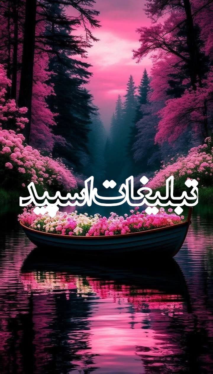 چَت پدیده ✨