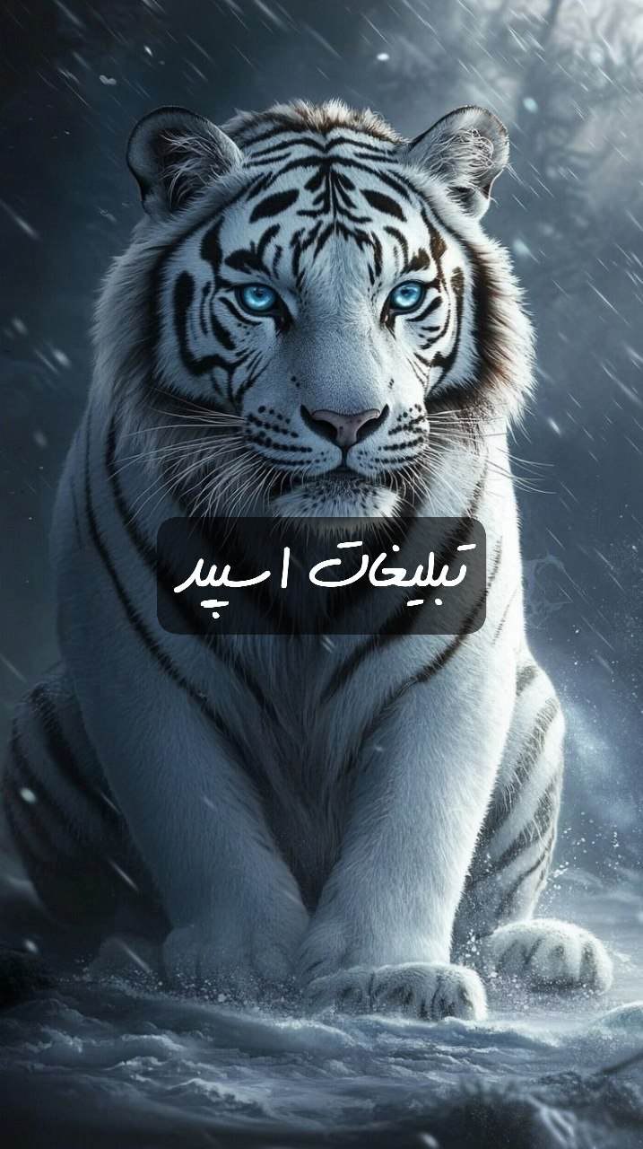 گپ تلگرام گلچین بامعرفتا
