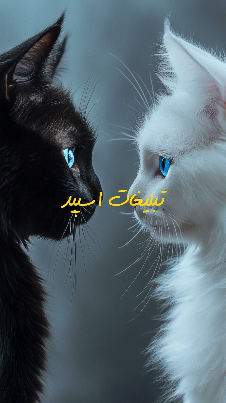 گروه تلگرام دورهمی دهه هشتاد ایلام