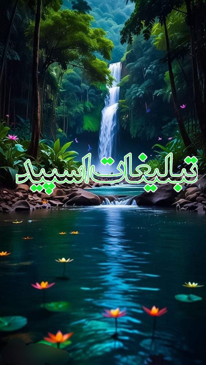 💥⃟҈ྀ𝑺𝒉𝒊𝒓𝒂𝒛 𝑪𝒊𝒕𝒚 𝑩𝒖𝒔𝒉𝒆𝒉𝒓𓀛𓄂ꪴꪰ𓆃