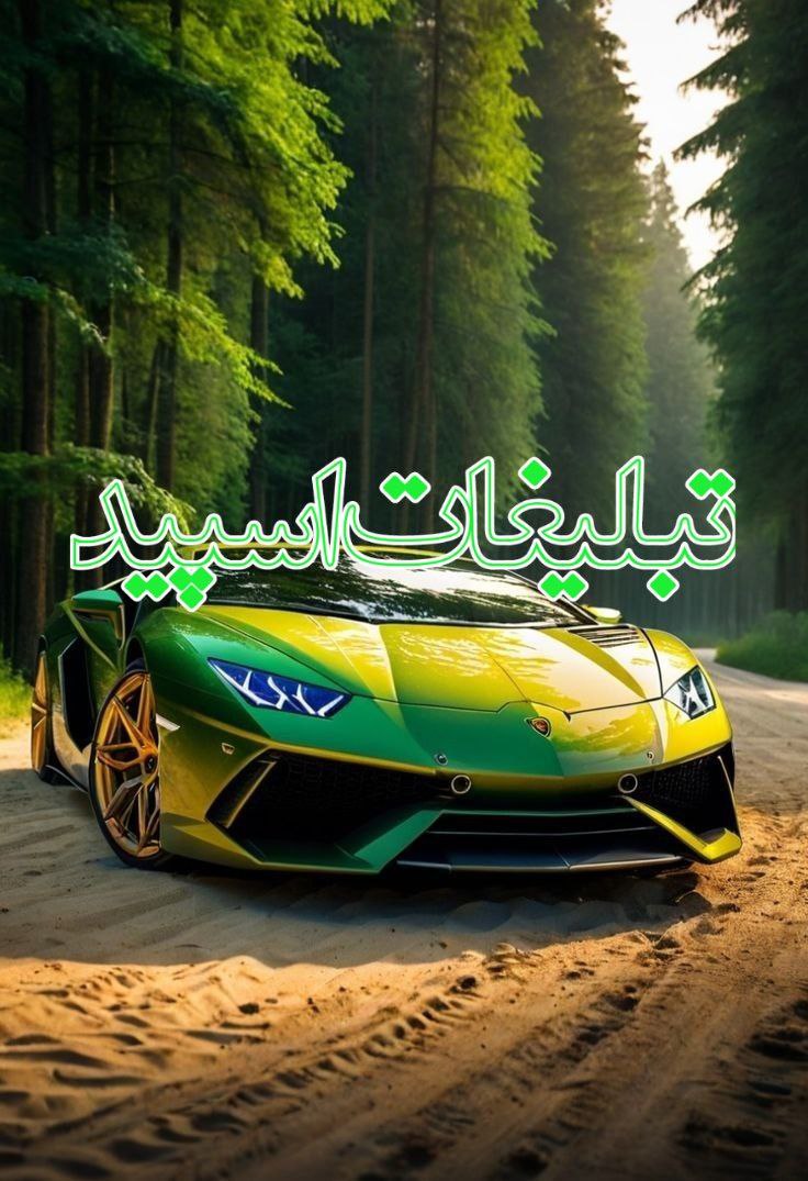 وایلد ولف|WILD WOLF (36)