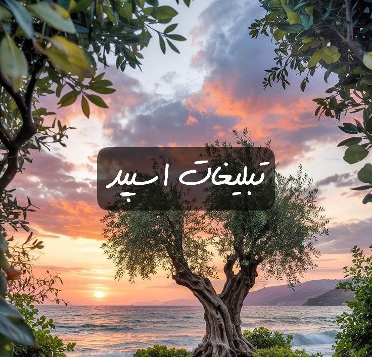 گروه تلگرام چتکده اورکا