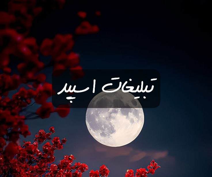 گروه تلگرام هولا