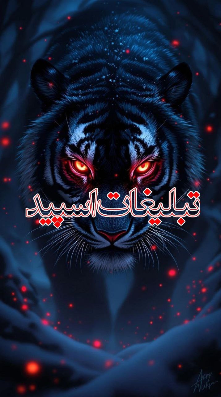 دوستان با معرفت (2)